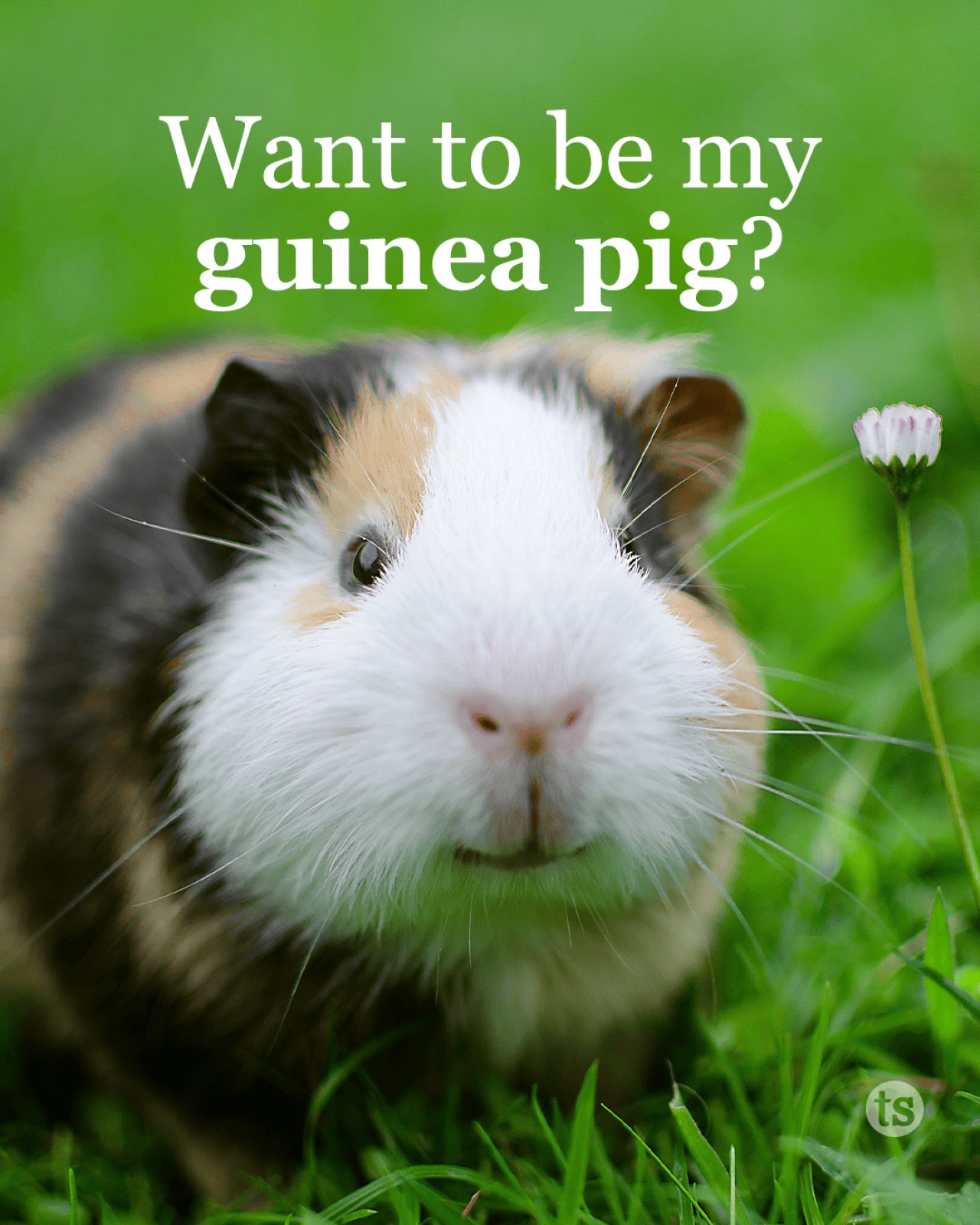 We are having a booking blitz and there are a bunch of new ideas for hosting an experience.  Want to be my guinea pig?  Comment or message me!